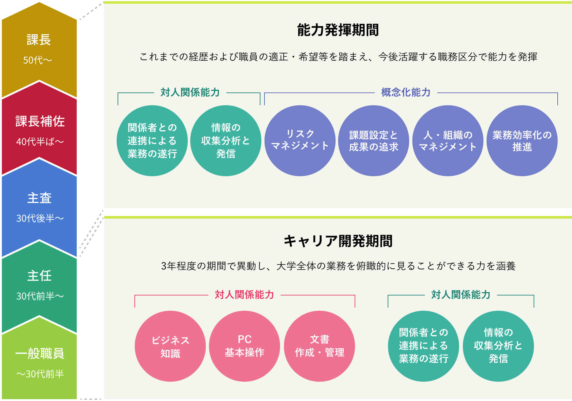 キャリアパスの図